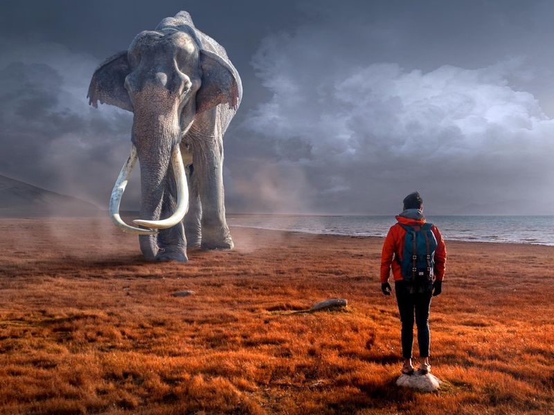 Does Stress Really Affect Blood Sugar? The Science Says Yes