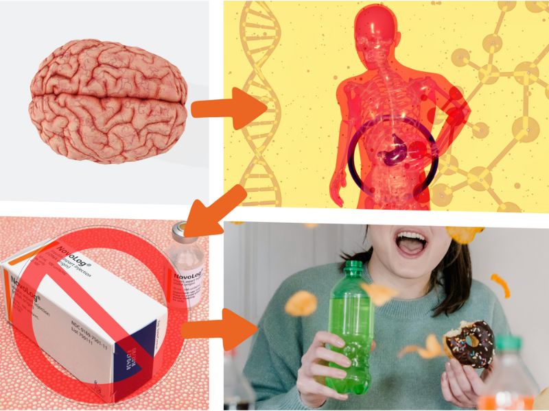 How Stress Affects Blood Sugar: The 4-Phase Process