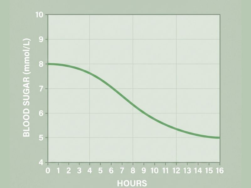 Graph showing how fasting lowers blood sugar levels gradually over time